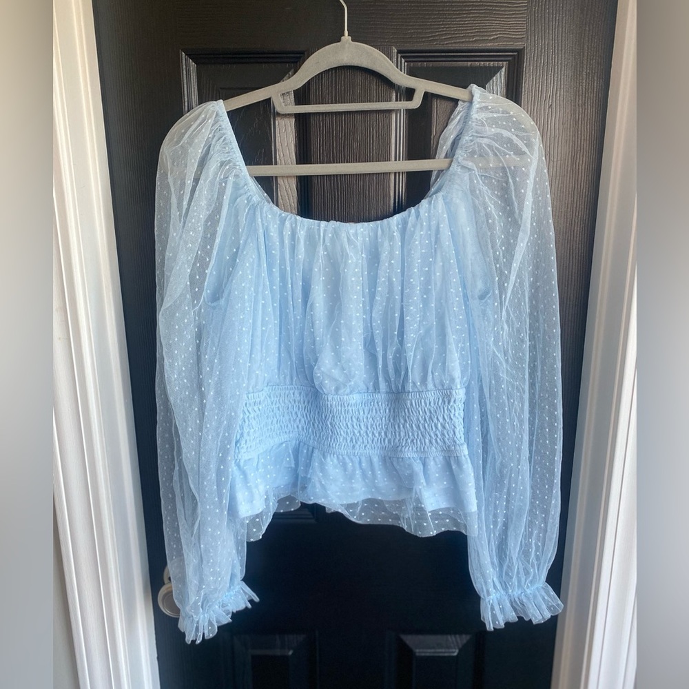 Audrey Parks Francesca’s Soft Blue Tulle Blouse Sheer Long-Sleeve Crop-Size L - Picture 5 of 8